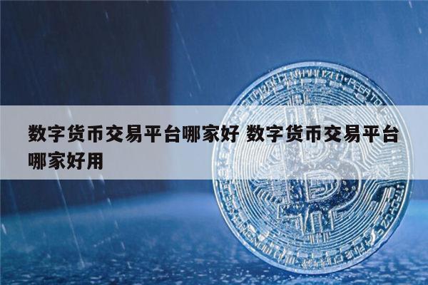 数字货币交易所查询平台(数字货币交易所app官网下载)