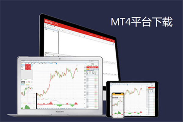 mt数字货币交易平台的简单介绍