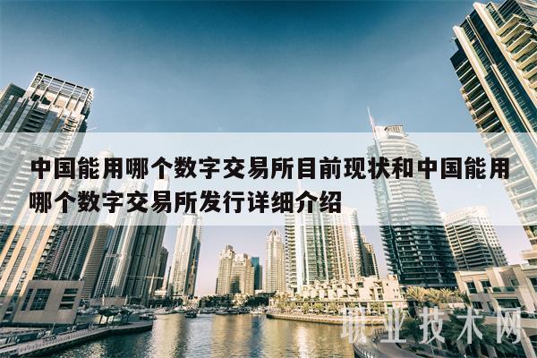 数字货币能进入牛市吗(2021年数字货币能不能用上)