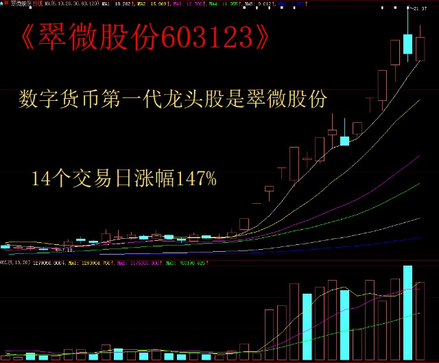 数字货币龙头盈利(数字货币龙头盈利多少)