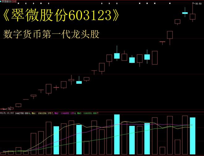 数字货币试验区股票(数字货币新增六家试点)