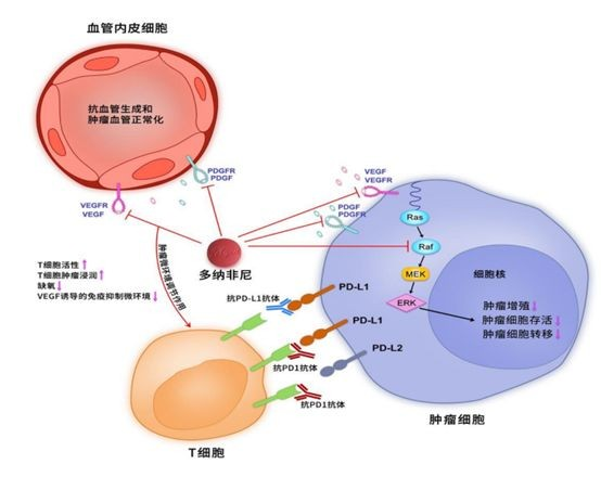 dtp数字货币交易平台的简单介绍