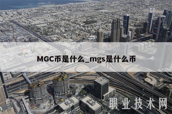 包含MGS数字货币交易平台的词条