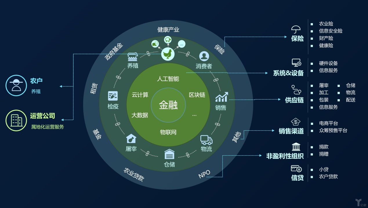 数字货币关键设施(数字货币最关键的环节)