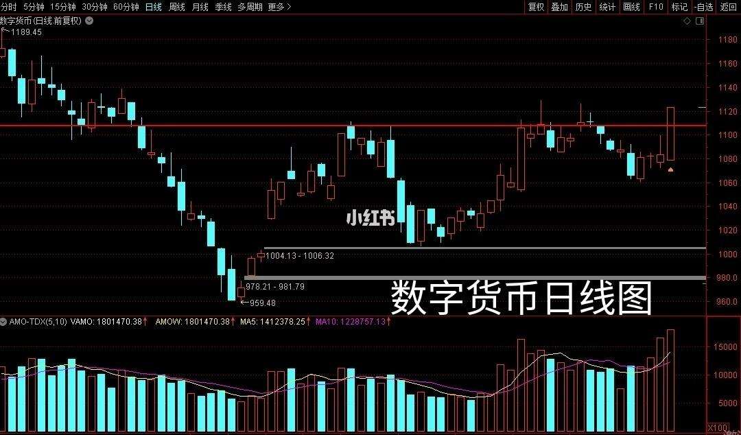 数字货币交易所五日线(数字货币交易5x什么意思)