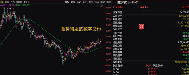 沪深数字货币大黑马(a股数字货币龙头排名)