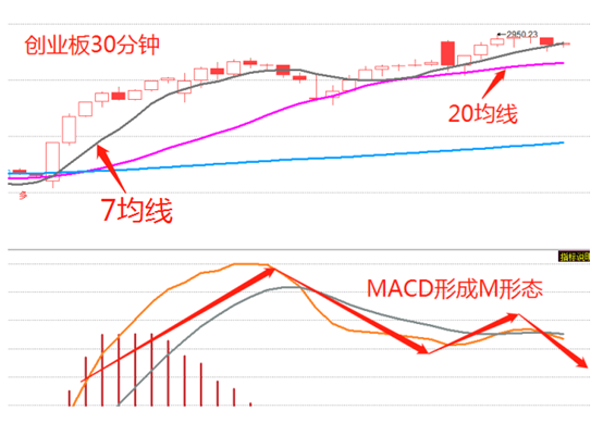 数字货币分化的意义(数字货币 货币数字化)